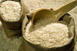 فروش برنج ایرانی 